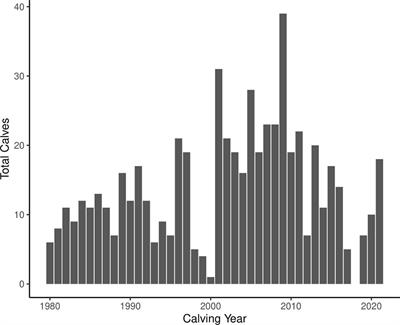 Maternal Lineage and Habitat Use Patterns Explain Variation in the Fecundity of a Critically Endangered Baleen Whale